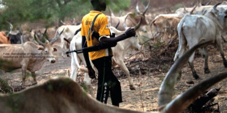 ``Eine Form der ethnischen Säuberung in Nigeria``